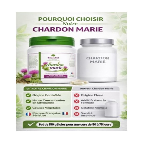 Chardon Marie 150 Gélules de 450 mg – Standardisé en Silymarine – Complément Alimentaire Foie & Digestion – Soutien Hépatique