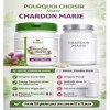 Chardon Marie 150 Gélules de 450 mg – Standardisé en Silymarine – Complément Alimentaire Foie & Digestion – Soutien Hépatique