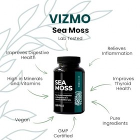 Sea Moss Lot de 180 gélules 100 % naturelles de mer irlandaise et algue végane sans additifs 500 mg Superaliment pour système