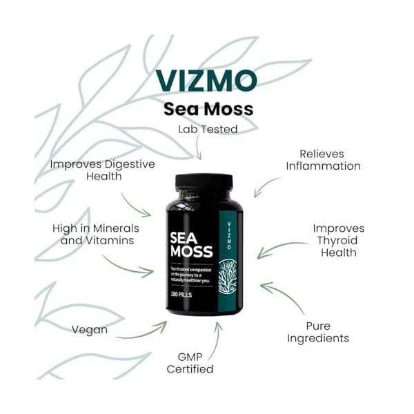 Sea Moss Lot de 180 gélules 100 % naturelles de mer irlandaise et algue végane sans additifs 500 mg Superaliment pour système