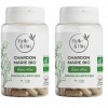 DIGESTION - Chardon Marie Bio - DETOX FOIE - Certifié Ecocert - Pilulier 120 Gélules - Fabriqué en FRANCE Lot de 2 Chardon-m...