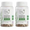 DIGESTION - Chardon Marie Bio - DETOX FOIE - Certifié Ecocert - Pilulier 120 Gélules - Fabriqué en FRANCE Lot de 2 Chardon-m...