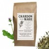Tisane Plante Coupée Chardon-Marie Silybum Marianum 250 G | Tradition Nature