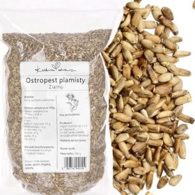 Graines De Chardon-Marie 1 kg – Naturelles Et Pures – Riche En Fibres Et Protéines Végétales – Idéal Pour Infusions, Cuisine 