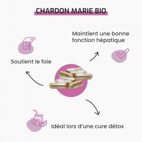 Laboratoire Beauchamp - CHARDON MARIE BIO - Complément Alimentaire - Détoxification, Elimination & Protection du Foie - 60 gé