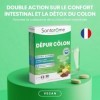 Santarome Bio - Dépur Côlon | Complément Alimentaire Confort Intestinal et Digestif | Détox du Côlon & Purification - A base ...