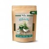 Biojoy Poudre de Chlorella BIO 100 g , Naturelle et sans additifs Chlorella vulgaris L. Chlorelle