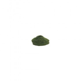 Chlorella Poudre Bio