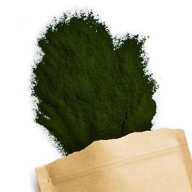 Terra Elements Chlorella bio en poudre 100 g I 100% pure I vegan I qualité crue