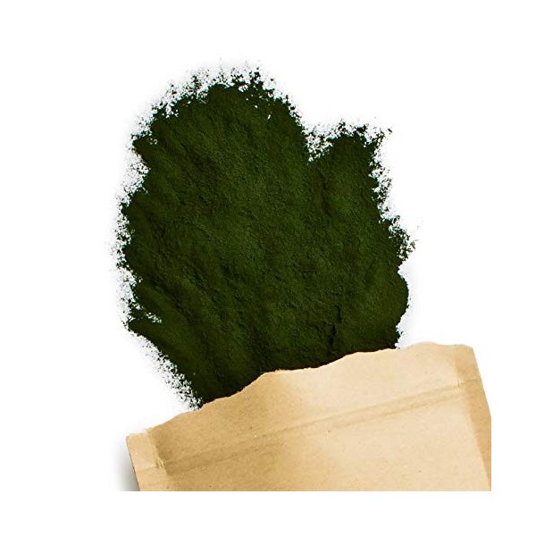 Terra Elements Chlorella bio en poudre 100 g I 100% pure I vegan I qualité crue
