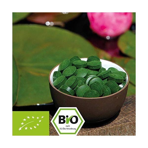 1kg Tablettes de chlorella pyrenoidosa Bio – certifiées Naturland 400mg