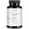 Algomed Chlorella Crema | Cure à boire végétalienne pour les intestins et la digestion | B12 + probiotiques + fibres | Fabric
