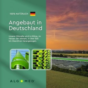 Algomed Chlorella Crema | Cure à boire végétalienne pour les intestins et la digestion | B12 + probiotiques + fibres | Fabric