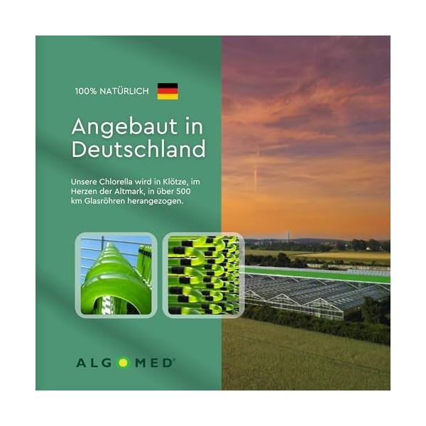 Algomed Chlorella Crema | Cure à boire végétalienne pour les intestins et la digestion | B12 + probiotiques + fibres | Fabric