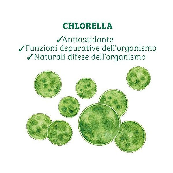 Bio Chlorella - Supplément de chlorelle biologique 200 comprimés - favorise les fonctions purificatrices de lorganisme - 100