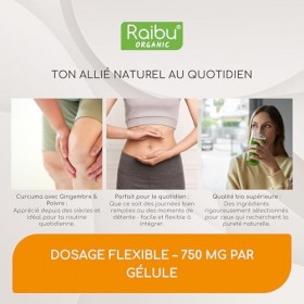 Curcuma gingembre poivre noir 4500mg, 180 gélules de curcumine bio - curcuma bio gelule anti inflammatoire, bien-être articul