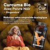 Curcuma Bio Gélule Anti Inflammatoire avec Gingembre et Poivre Noir – 1410 mg par Dose – 365 Gélules – Format XL Éco – Complé