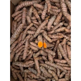 Curcuma frais 250 g | Curcuma racine naturelle de production locale à Malaga | Culture locale | Goût intense et arôme naturel...