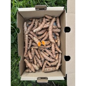 Curcuma frais 250 g | Curcuma racine naturelle de production locale à Malaga | Culture locale | Goût intense et arôme naturel...