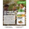 vit4ever Extrait de Curcuma hautement dosé - 180 Gélules - 500 mg de Curcumine par portion journalière - 95% de Curcumine – E