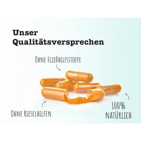 SPINTZ Lot de 420 capsules de curcuma bio - 620 mg de poudre de curcuma par capsule - Poudre de curcurma moulu, racine jaune 