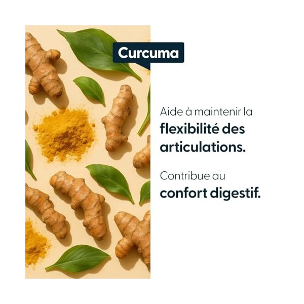 Curcuma 7900 mg – Extrait titré à 95% de curcuminoïdes – 60 gélules végétales – Cure 2 mois – Gélules France Curcuma