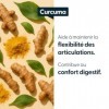 Curcuma 7900 mg – Extrait titré à 95% de curcuminoïdes – 60 gélules végétales – Cure 2 mois – Gélules France Curcuma