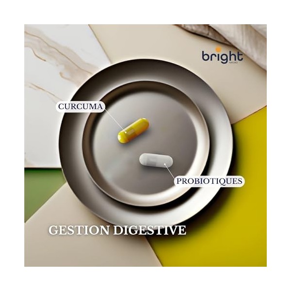 Gestion Digestive - Curcuma, Gingembre et Probiotiques - Sans additifs synthétiques | Synergie optimale pour équilibre intest