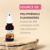 Spray propolis brune - Complément alimentaire - Immunité - Gorge & Bouche - 100% naturel - Fabriqué en France - 20 ml