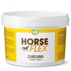 Horse Flex Curcuma poudre pour chevaux pour soutenir la peau, le système musculo-squelettique et la digestion - 2400 grammes