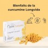 OPTIM Curcuma Curcumine Longvida Pack 12 Boîtes de 30 Gélules | Complément Alimentaire pour Souplesse des Articulations | San