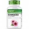 Échinacée 500 mg - 365 comprimés végétaliens - Extrait naturel déchinacée 10:1 - Hautement dosé - Sans additifs indésirables