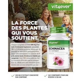 Échinacée 500 mg - 365 comprimés végétaliens - Extrait naturel déchinacée 10:1 - Hautement dosé - Sans additifs indésirables