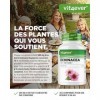 Échinacée 500 mg - 365 comprimés végétaliens - Extrait naturel déchinacée 10:1 - Hautement dosé - Sans additifs indésirables