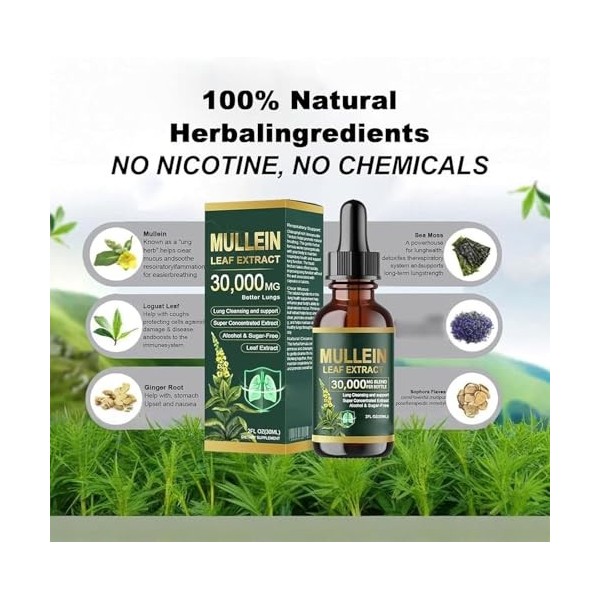 Gouttes dextrait de feuille de molène bio nettoyantes pour poumons, extrait de molène pour poumons, formule naturelle, pour ...