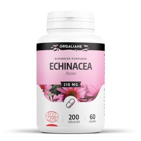 Echinacea racine Biologique | 630 mg/jour | Echinacea purpurea | Certifié Ecocert | 200 Gélules