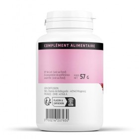 Echinacea racine Biologique | 630 mg/jour | Echinacea purpurea | Certifié Ecocert | 200 Gélules