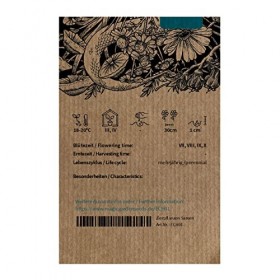 Échinacée à feuilles étroites Echinacea angustifolia env. 30 semences