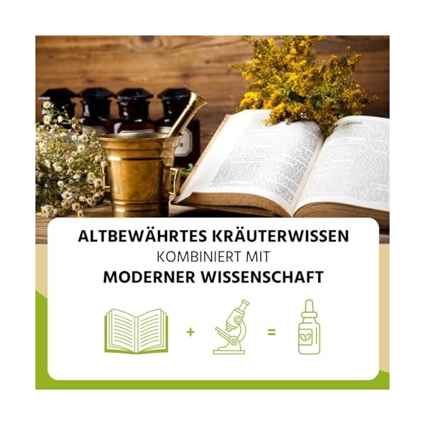 Auwald Gouttes déchinacée bio – Extrait de haute qualité, essence et teinture – 100 % agriculture biologique, sans additifs 