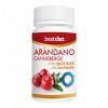 BestDiet - Cranberry + Probiotic - complément alimentaire : extrait de canneberge séchée : propriétés antibactériennes - Lot 
