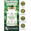 Moringa Oleifera BIO | Extra Fort, 10 000mg par jour | 100% Naturel et Pur | 90 Gélules vegan de 400mg | Qualité Supérieure