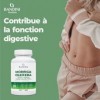 Bandini® Moringa Oleifera – Complément naturel riche en Protéines, Acides Aminés, Vitamines et Minéraux – Superfood pour lén