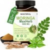 Moringa Capsules 5000 mg – Approvisionnement de 2 mois | 60 gélules à haute résistance | Végétalien, sans OGM et testé en lab