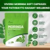 VivoNu Moringa Bio 6000 mg – 240 unités – Technologie Ultra-Concentrée 30:1 – Super-aliment Complet pour l’Énergie, la Peau, 