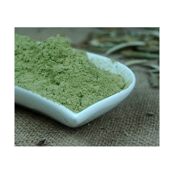 poudre de feuilles dolive 1 Kg