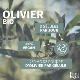 Parakeya - Olivier Bio 250mg | Complément alimentaire | 60 gélules Feuille d'olivier