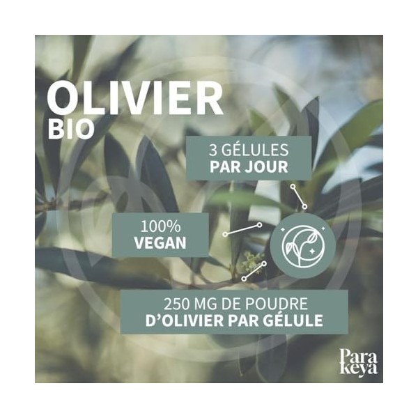 Parakeya - Olivier Bio 250mg | Complément alimentaire | 60 gélules Feuille d'olivier