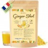 DETOX ORGANICA Ginger Shot - Jusquà 160 shots de Jus de Gingembre et Curcuma- Booster et Detox - 125g Préparation en poudre ...