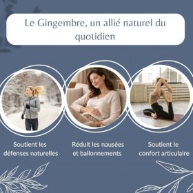 Gingembre Bio en Morceaux en Vrac - Infusion et Tisane Digestion et Bien-Être - Zingiber Officinale Roscoe - Agriculture Biol...