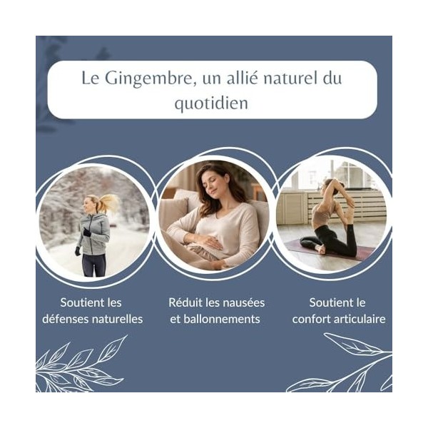 Gingembre Bio en Morceaux en Vrac - Infusion et Tisane Digestion et Bien-Être - Zingiber Officinale Roscoe - Agriculture Biol...